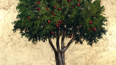 Kim Tkatch, Pomegranate Tree, Jerusalem, Kings Gallery, Fine Art, Gallery in Jerusalem, International artist.