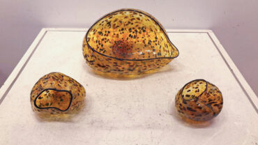 Dale Chihuly - Seashells - Glass sculpture - Jerusalem - Gallery in Jerusalem - Kings Gallery.